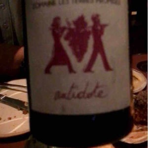 Antidote - Les Terres Promises - Jean-Christophe Comor 