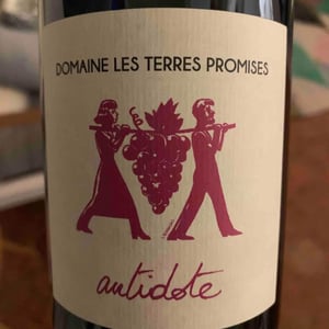 Les Terres Promises - Jean-Christophe Comor - Antidote