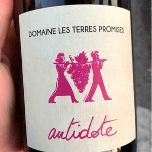 Antidote - Les Terres Promises - jean-christophe-comor