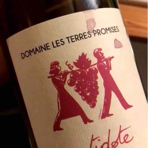 Les Terres Promises - Jean-Christophe Comor - Antidote