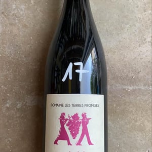 Antidote - Les Terres Promises - jean-christophe-comor