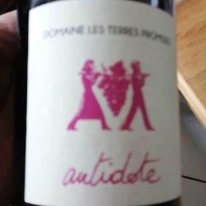 Les Terres Promises - Jean-Christophe Comor - Antidote