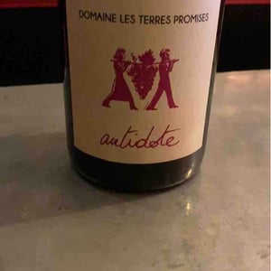 Antidote - Les Terres Promises - jean-christophe-comor