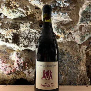 Antidote - Les Terres Promises - jean-christophe-comor