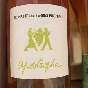 Antidote - Les Terres Promises - jean-christophe-comor