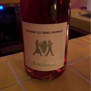 Antidote 2022 - Les Terres Promises - Jean-Christophe Comor