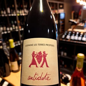 Antidote - Les Terres Promises - jean-christophe-comor