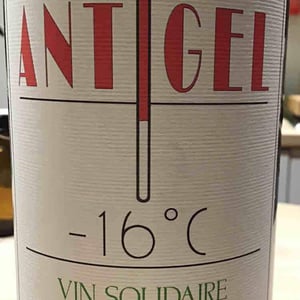 Antigel - Le Jonc Blanc - Isabelle Carles & Franck Pascal 