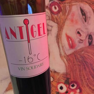 Antigel - Le Jonc Blanc - isabelle-carles-franck-pascal