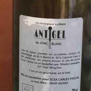 Antigel - Le Jonc Blanc - isabelle-carles-franck-pascal