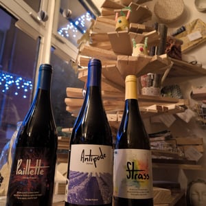 Antipode - Domaine Des Gatz - Alexis Frenkel & Maxime Petit 