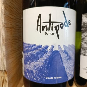 Antipode - Domaine Des Gatz - Alexis Frenkel & Maxime Petit 