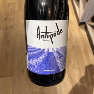 Antipode - Domaine Des Gatz - Alexis Frenkel & Maxime Petit 