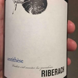 Antithèse - Domaine Riberach - guilhem-soulignac-j-m-mailloles-patrick-rodrigues-luc-richard