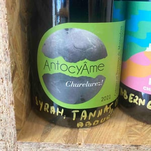 Churelurez! - AntocyÂme - muriel-zoldan