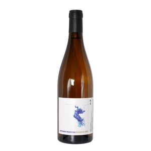 António Madeira Branco 2021 - António Madeira - antonio-madeira -2021