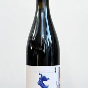 Dão Tinto Colheita - António Madeira - antonio-madeira