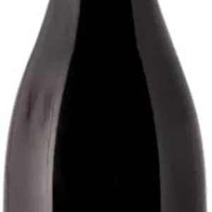 António Madeira Branco 2021 - António Madeira - antonio-madeira -2021