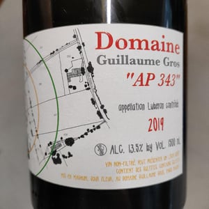 AP 343 - Guillaume Gros - guillaume-gros -2019