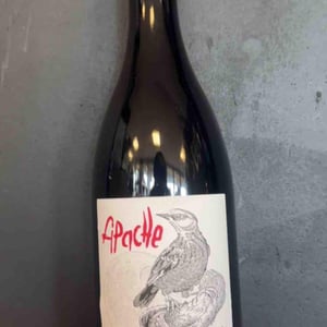 Apache - Aux Ardents - thomas-mylene -2020
