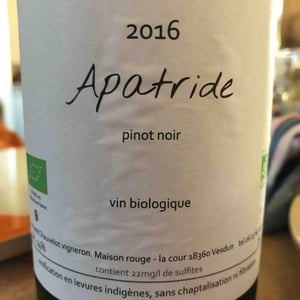 Apatride - Vincent Chauvelot - Vincent Chauvelot 