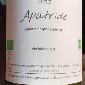 Apatride - Vincent Chauvelot - Vincent Chauvelot 