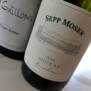 Muskat Trocken - Vitikultur MOSER - familie-moser