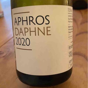 Aphros Daphne - Aphros Wines Cellar - Vasco Croft, Tiago Sampaio & Miguel Viseu 