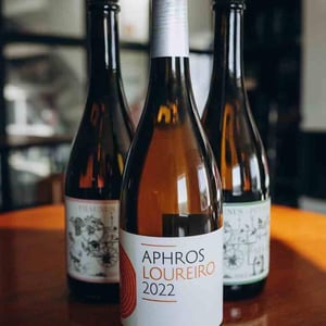 Aphros Loureiro - Aphros Wines Cellar - vasco-croft-tiago-sampaio-miguel-viseu