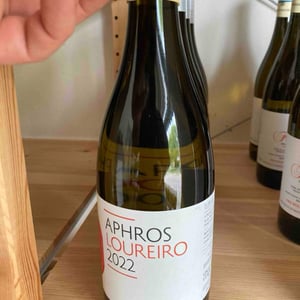 Aphros Loureiro - Aphros Wines Cellar - Vasco Croft, Tiago Sampaio & Miguel Viseu 