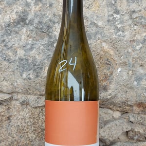 Aphros Loureiro - Aphros Wines Cellar - Vasco Croft, Tiago Sampaio & Miguel Viseu 
