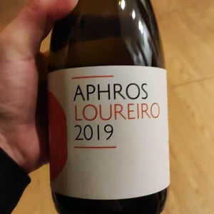 Aphros Loureiro - Aphros Wines Cellar - Vasco Croft, Tiago Sampaio & Miguel Viseu 