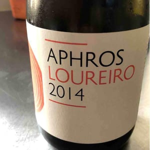 Aphros Loureiro - Aphros Wines Cellar - vasco-croft-tiago-sampaio-miguel-viseu