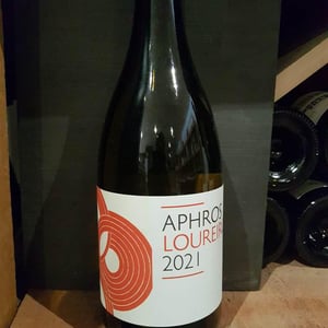 Aphros Loureiro - Aphros Wines Cellar - vasco-croft-tiago-sampaio-miguel-viseu