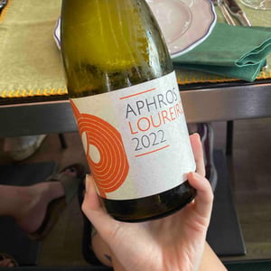 Aphros Loureiro - Aphros Wines Cellar - Vasco Croft, Tiago Sampaio & Miguel Viseu 
