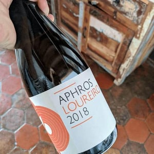 Aphros Loureiro - Aphros Wines Cellar - vasco-croft-tiago-sampaio-miguel-viseu