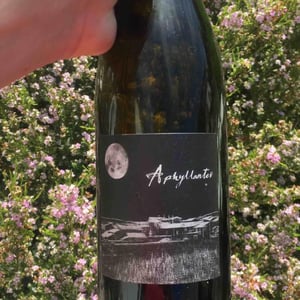 Aphyllantes - Domaine Des Vignes Rouges - severine-raphael-dubois