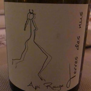 Api Rouge - Terres Des Nus - Bruno Debon 