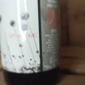 Api Rouge - Terres Des Nus - bruno-debon