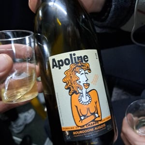 Apoline - Domaine de la Chappe - Vincent Thomas 