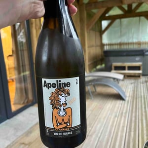 Apoline - Domaine de la Chappe - Vincent Thomas 