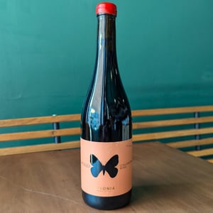 Apollo Rosato - Ausonia - simone-binelli