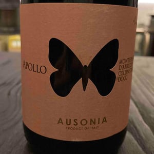 Apollo Bianco - Ausonia - Simone Binelli -2019