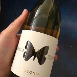 Apollo Rosato - Ausonia - Simone Binelli 