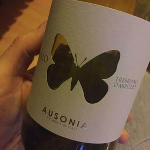 Ausonia - Simone Binelli - Apollo Rosato