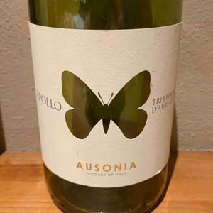 Apollo Rosato - Ausonia - Simone Binelli 
