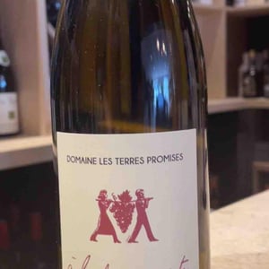 Apostrophe - Les Terres Promises - Jean-Christophe Comor 