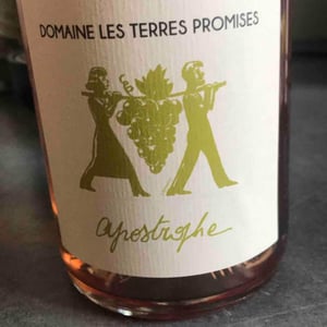 Les Terres Promises - Jean-Christophe Comor - Apostrophe