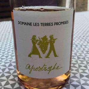 Les Terres Promises - Jean-Christophe Comor - Apostrophe