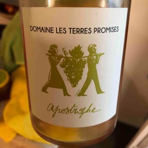 Apostrophe - Les Terres Promises - Jean-Christophe Comor 